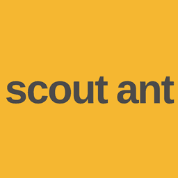 Scout Ant