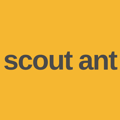 Scout Ant
